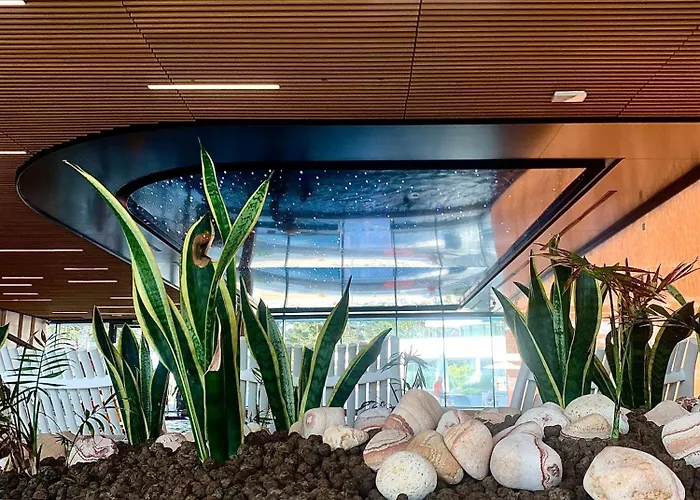 Blue Reef 6th Floor Sea View *